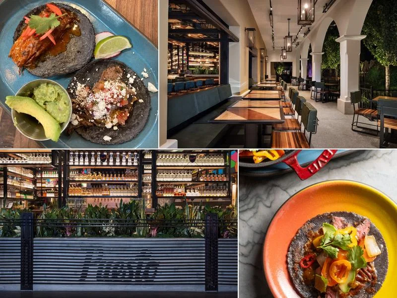 Food and dining at Puesto Concord